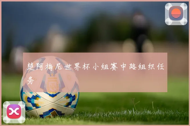 楚阿梅尼世界杯小组赛中路组织任务