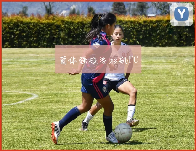 葡体强碰洛杉矶FC