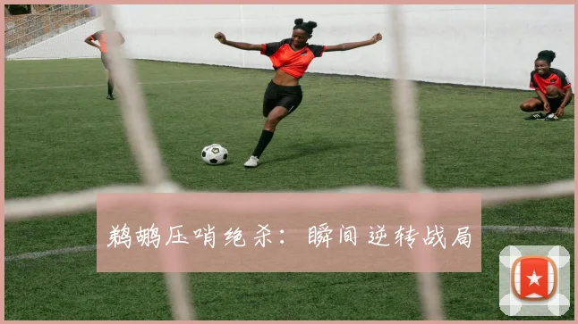 鹈鹕压哨绝杀:瞬间逆转战局
