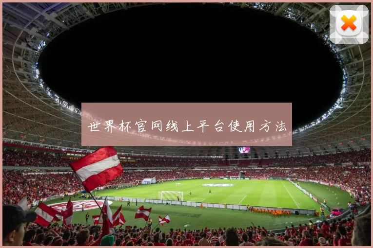 世界杯官网线上平台使用方法