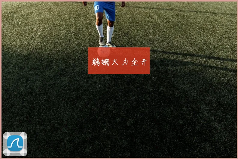 鹈鹕火力全开