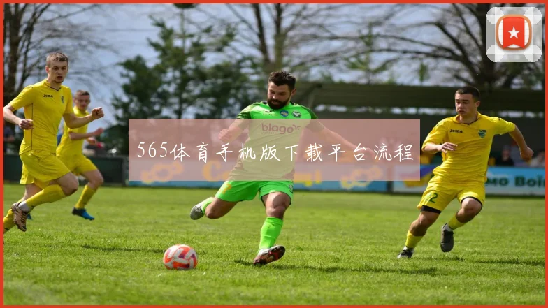 565体育手机版下载平台流程