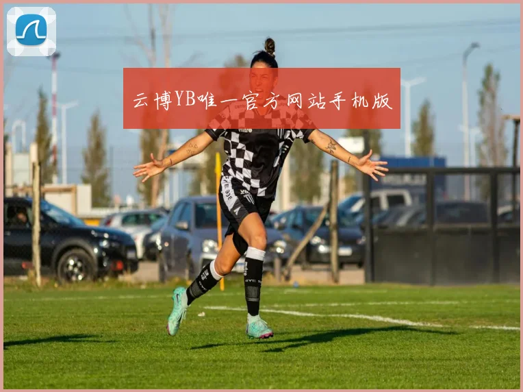 云博YB唯一官方网站手机版