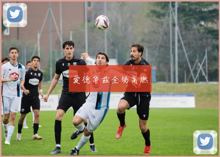 爱德华兹全场高燃
