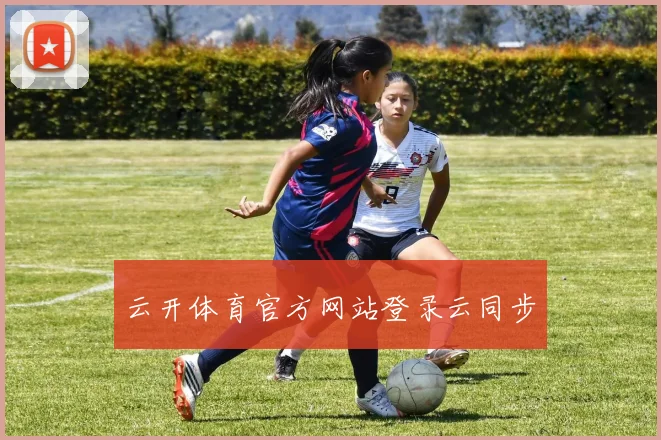 云开体育官方网站登录云同步