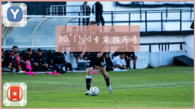 NO.1!3d专家推荐号
