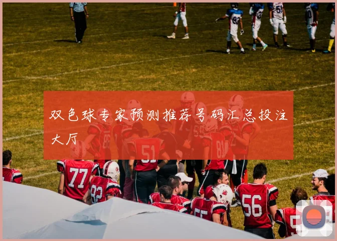 双色球专家预测推荐号码汇总投注大厅