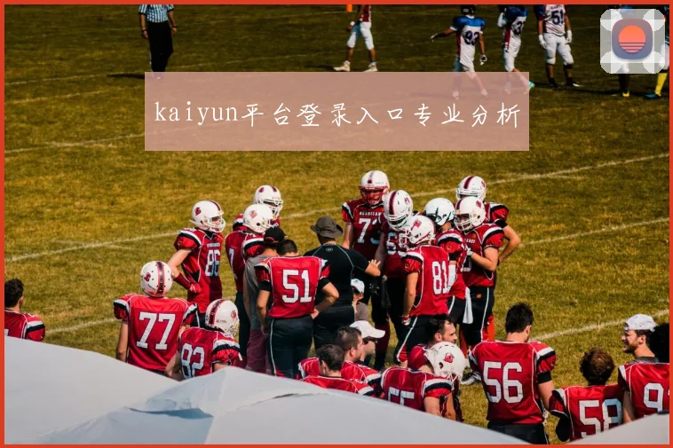 kaiyun平台登录入口专业分析