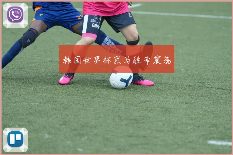 韩国世界杯黑马胜率震荡