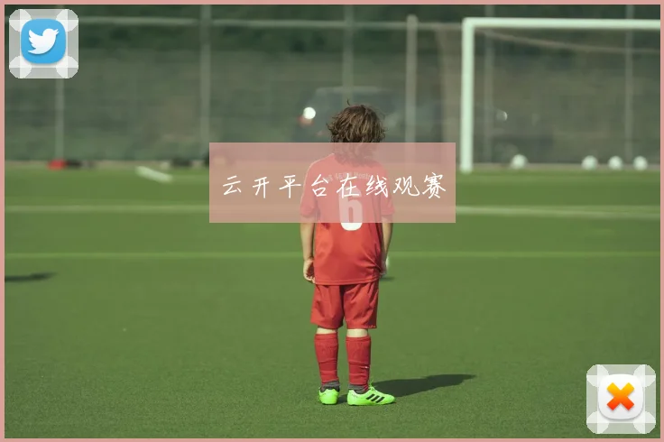 云开平台在线观赛