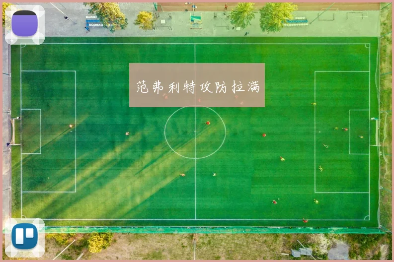范弗利特攻防拉满