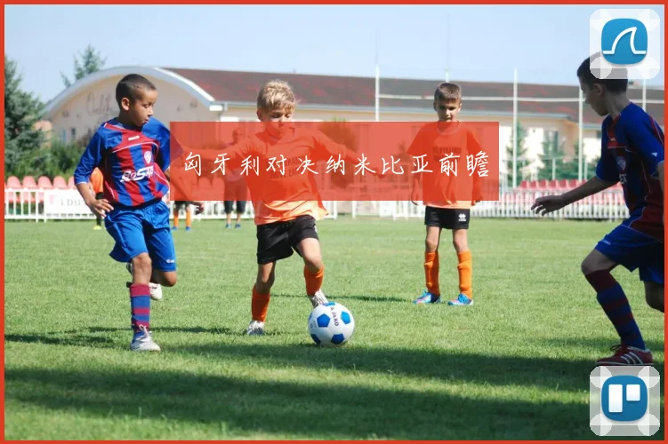 匈牙利对决纳米比亚前瞻