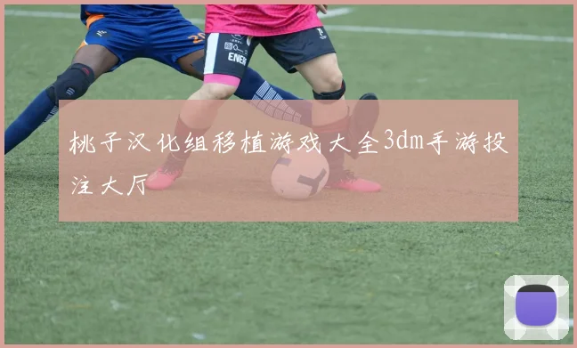 桃子汉化组移植游戏大全3dm手游投注大厅