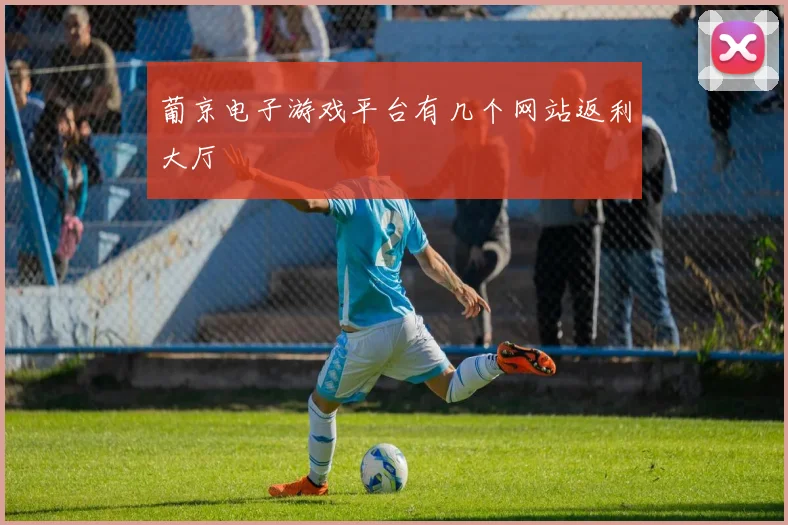 葡京电子游戏平台有几个网站返利大厅