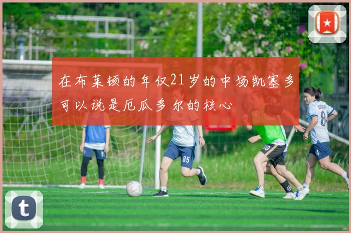 在布莱顿的年仅21岁的中场凯塞多可以说是厄瓜多尔的核心