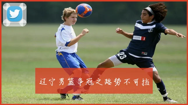 辽宁男篮争冠之路势不可挡