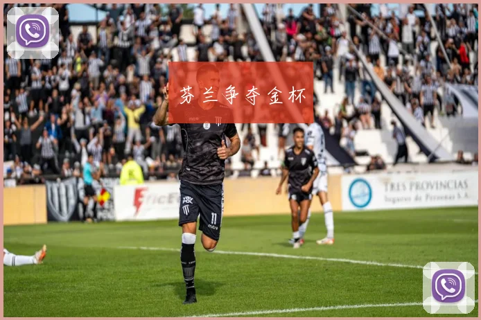 芬兰争夺金杯