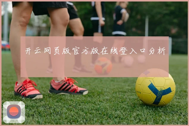 开云网页版官方版在线登入口分析
