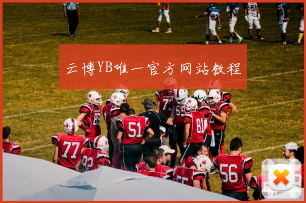 云博YB唯一官方网站教程