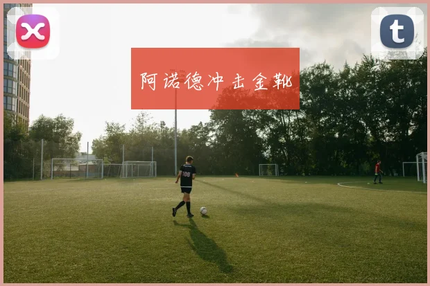 阿诺德冲击金靴