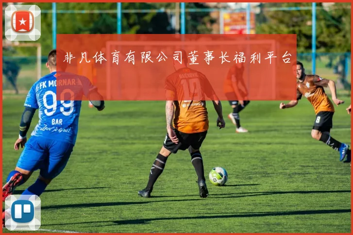非凡体育有限公司董事长福利平台