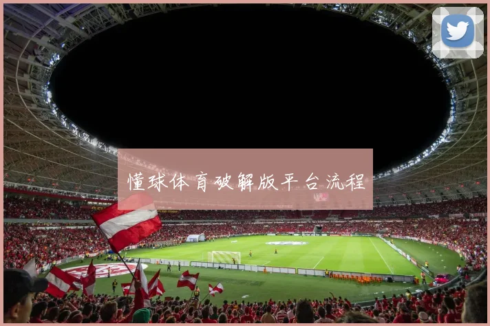 懂球体育破解版平台流程