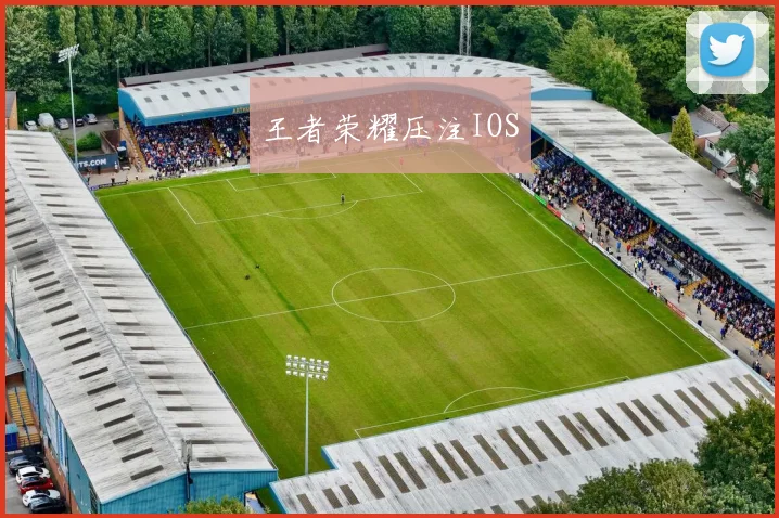 王者荣耀压注IOS