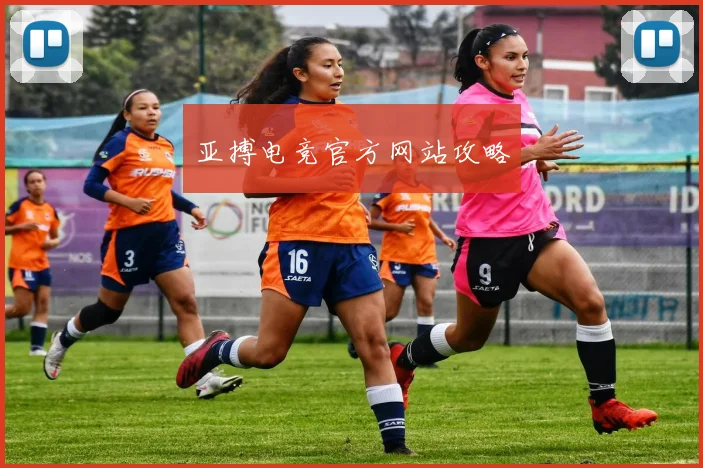 亚搏电竞官方网站攻略