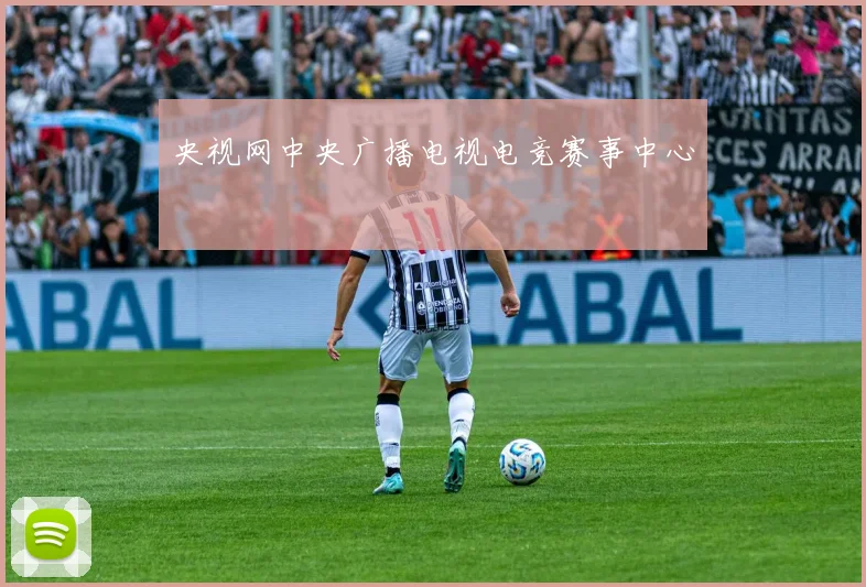 央视网中央广播电视电竞赛事中心