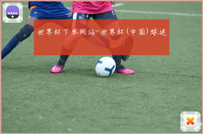 世界杯下单网站-世界杯(中国)球迷