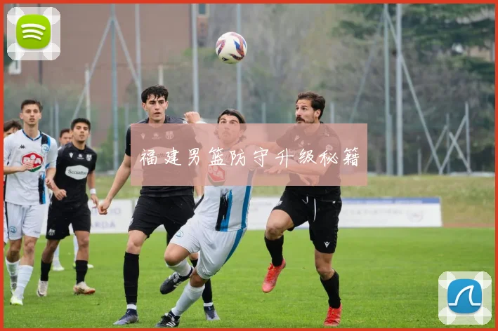 福建男篮防守升级秘籍