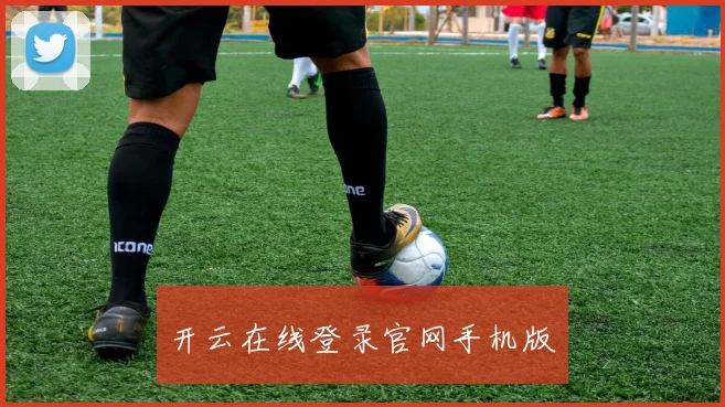 开云在线登录官网手机版