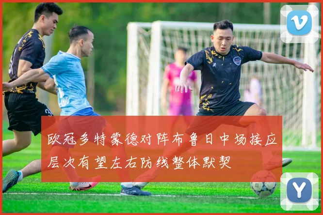欧冠多特蒙德对阵布鲁日中场接应层次有望左右防线整体默契