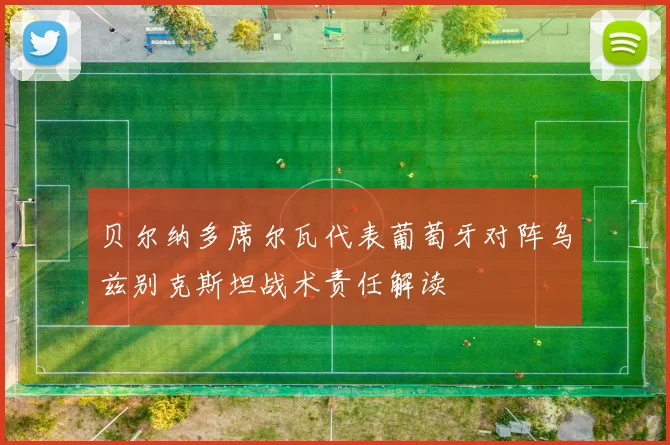 贝尔纳多席尔瓦代表葡萄牙对阵乌兹别克斯坦战术责任解读
